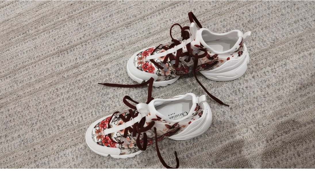 Dior 老爹鞋 D- connect