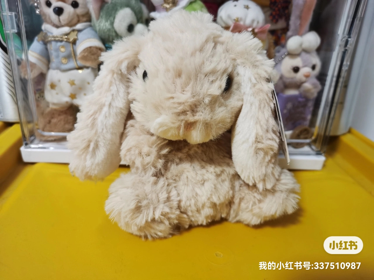 jellycat兔兔公仔