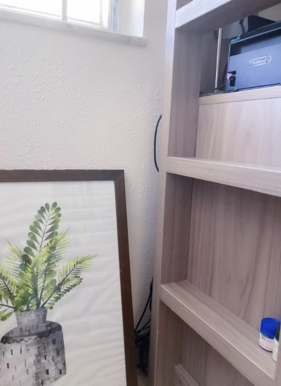 [家品] 北歐風 簡約綠植 裝飾畫 掛畫 壁畫 (畫芯)