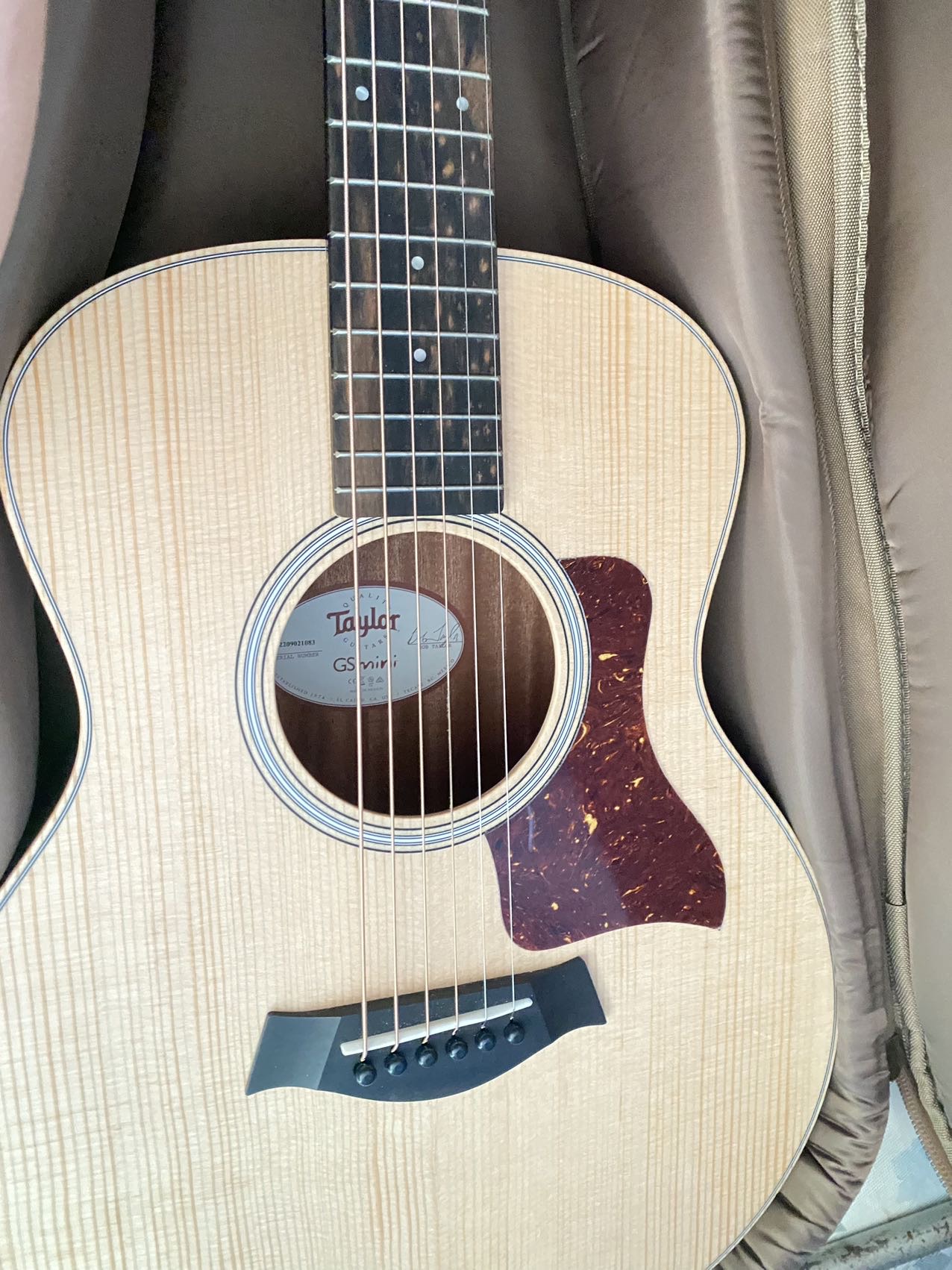 Taylor gs mini 結他