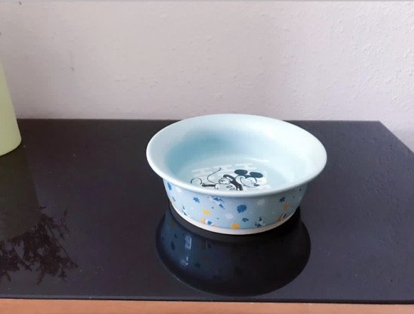 DISNEY 迪士尼 MICKEY MOUSE 米奇老鼠 寵物碗 BOWL