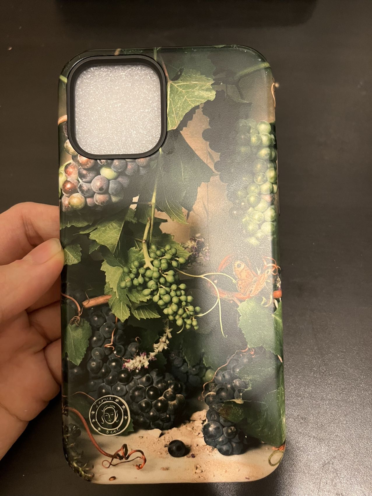 iphone 12 pro max /pro手机壳