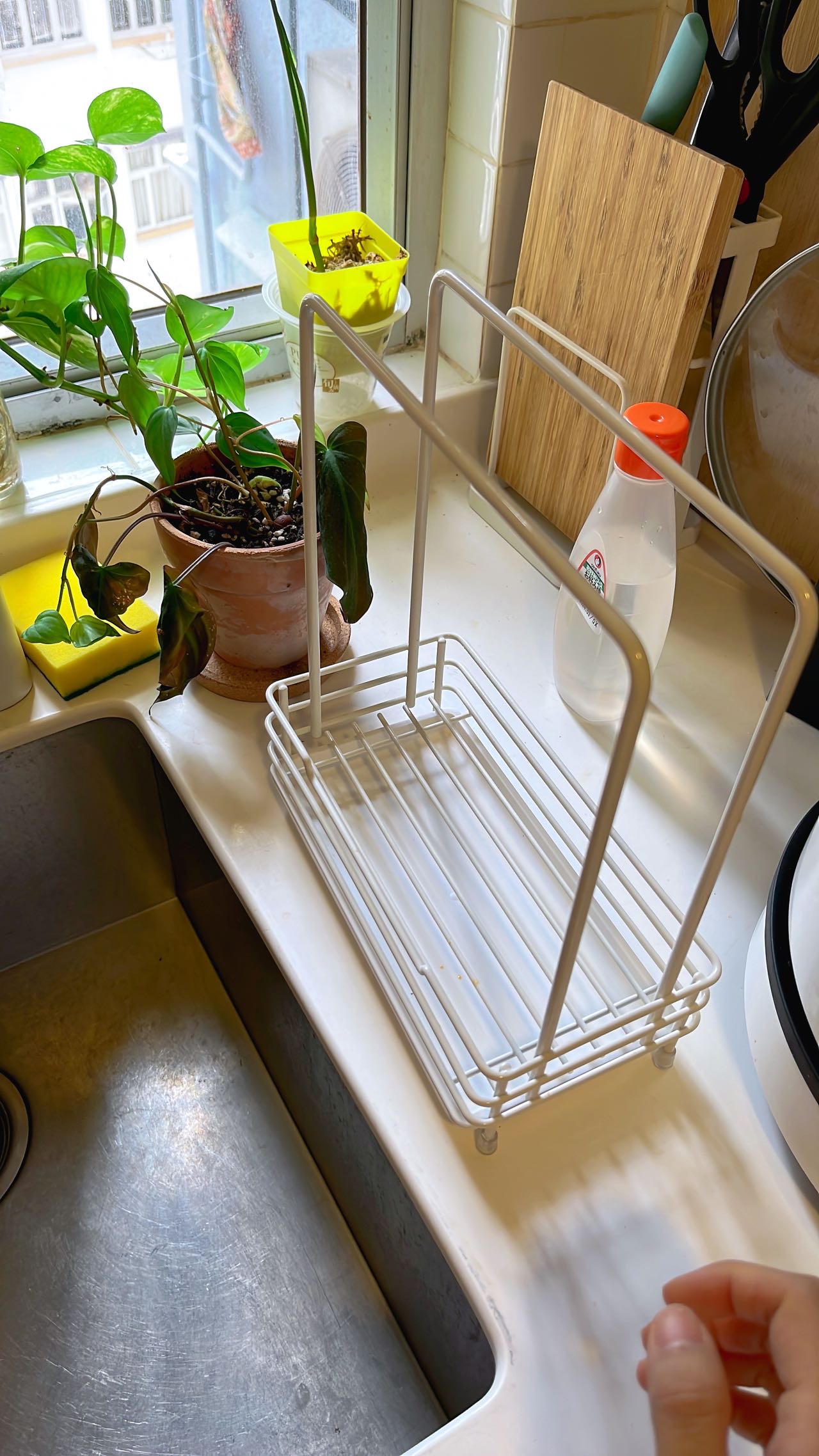 厨房海绵沥水架