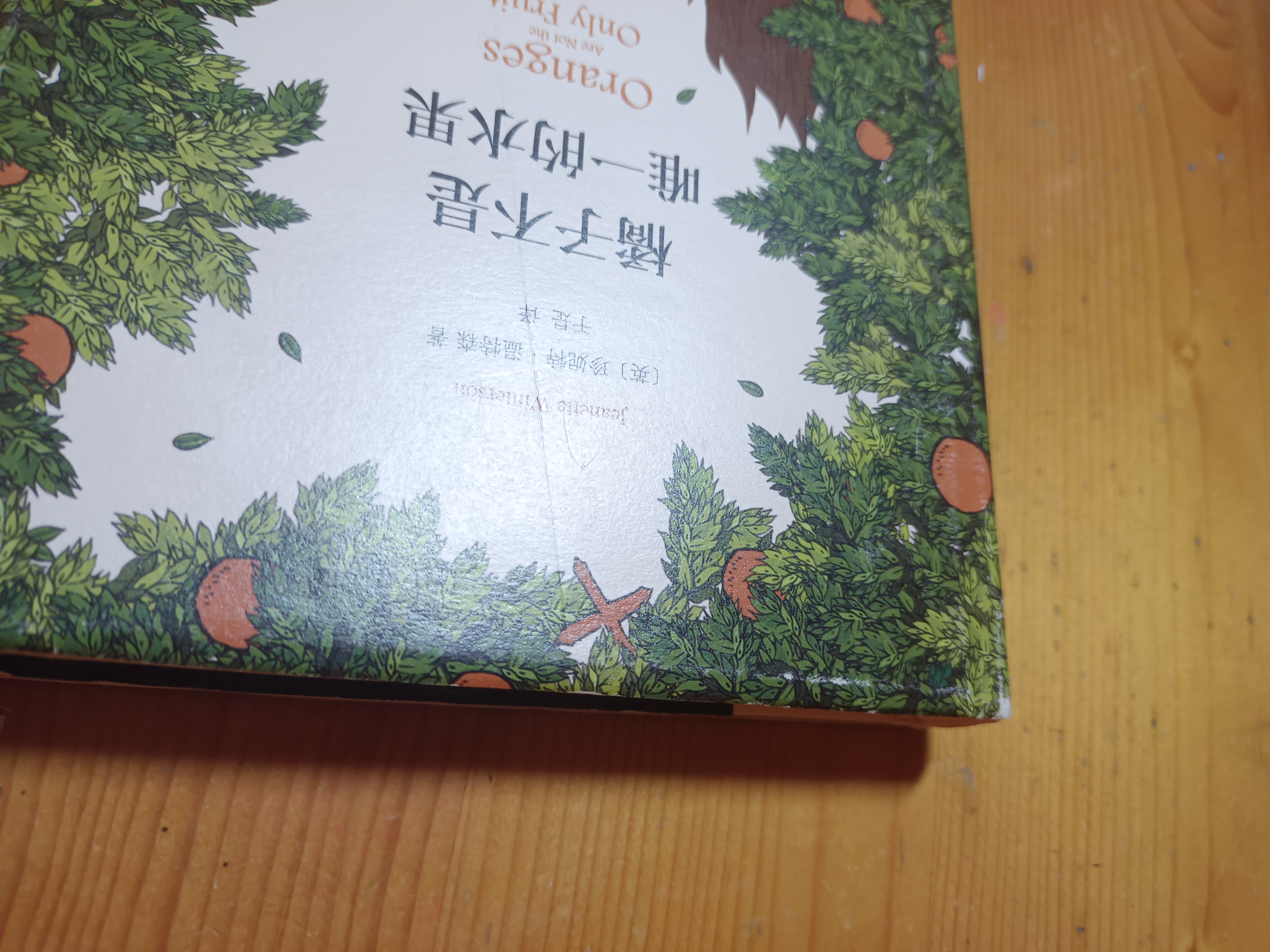 以物換物 橘子不是唯一的水果 小說