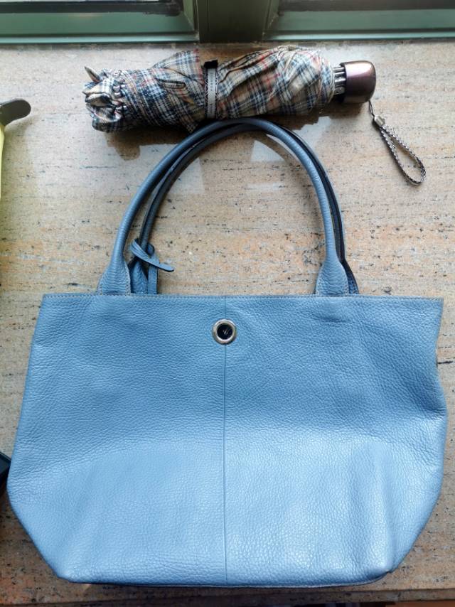 荔枝皮纹蓝色女包