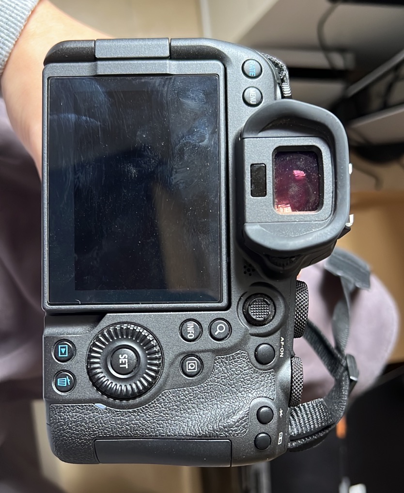 Canon EOS R6 连RF 24-105mm f4L IS USM