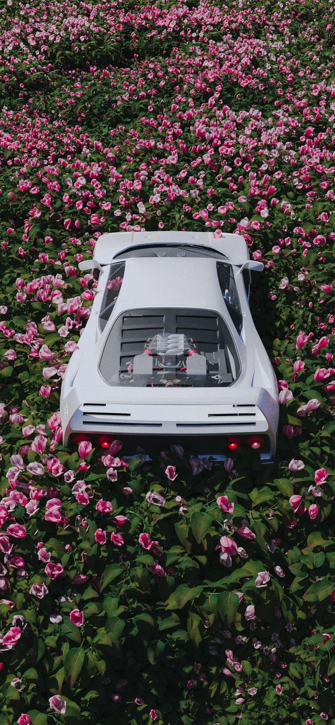 六张black pink 澳门 三等票