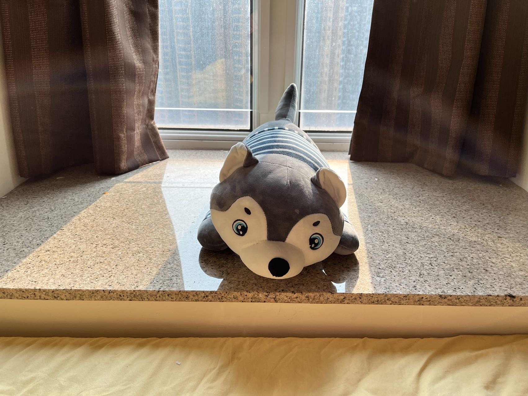 狗狗抱枕