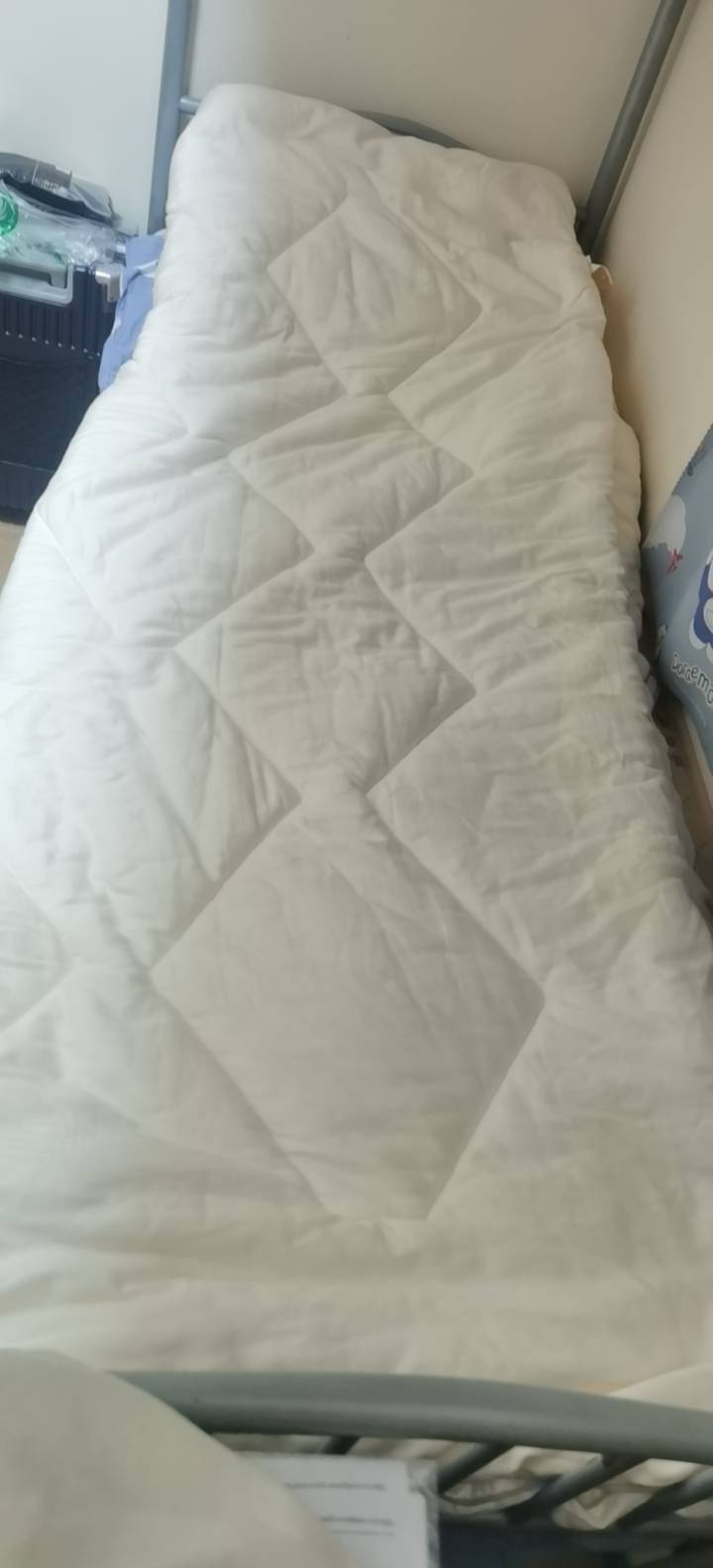 大豆被