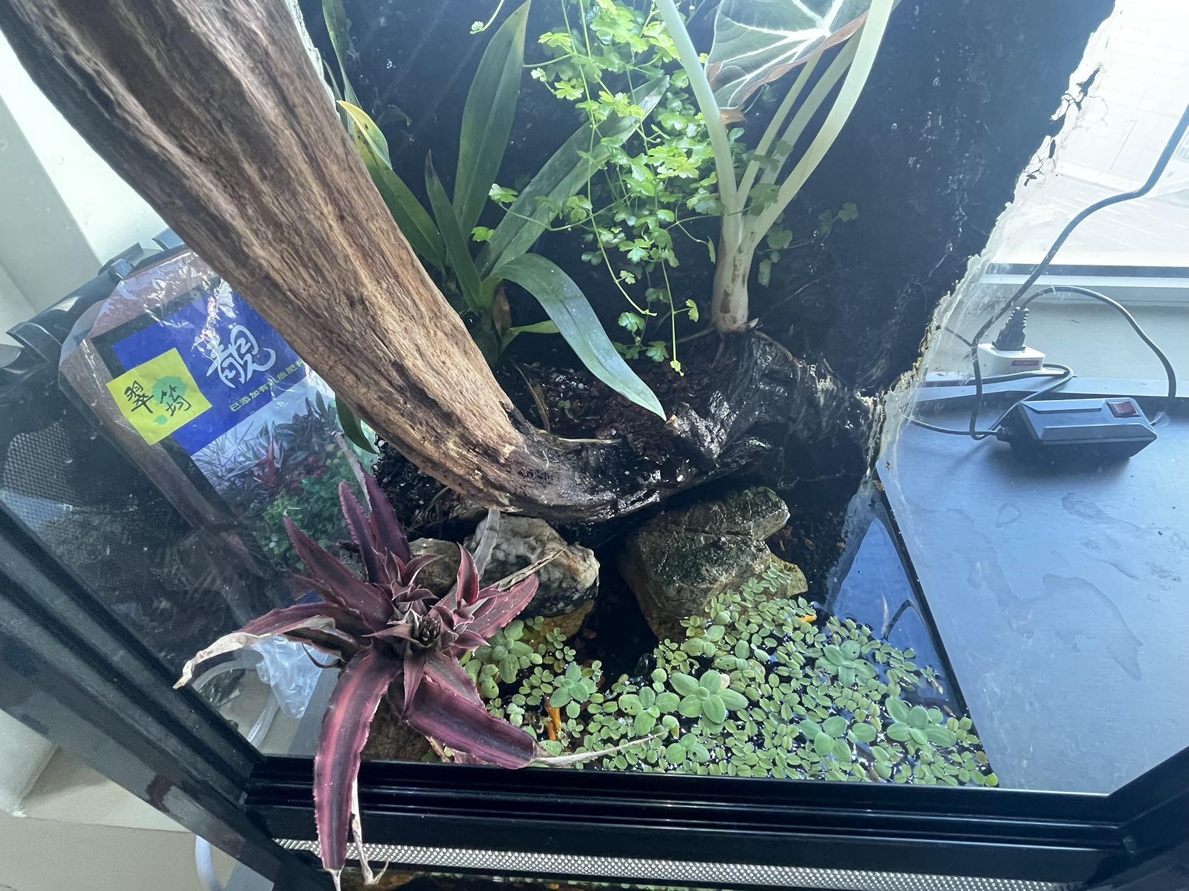 鱼缸