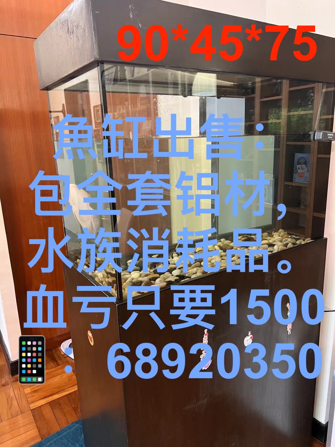 鱼缸