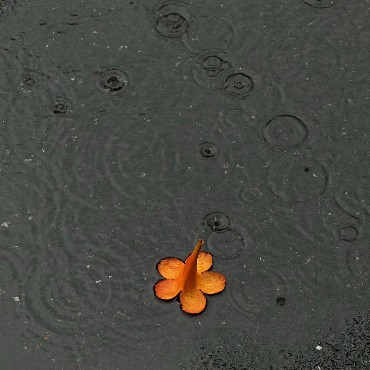 代看房