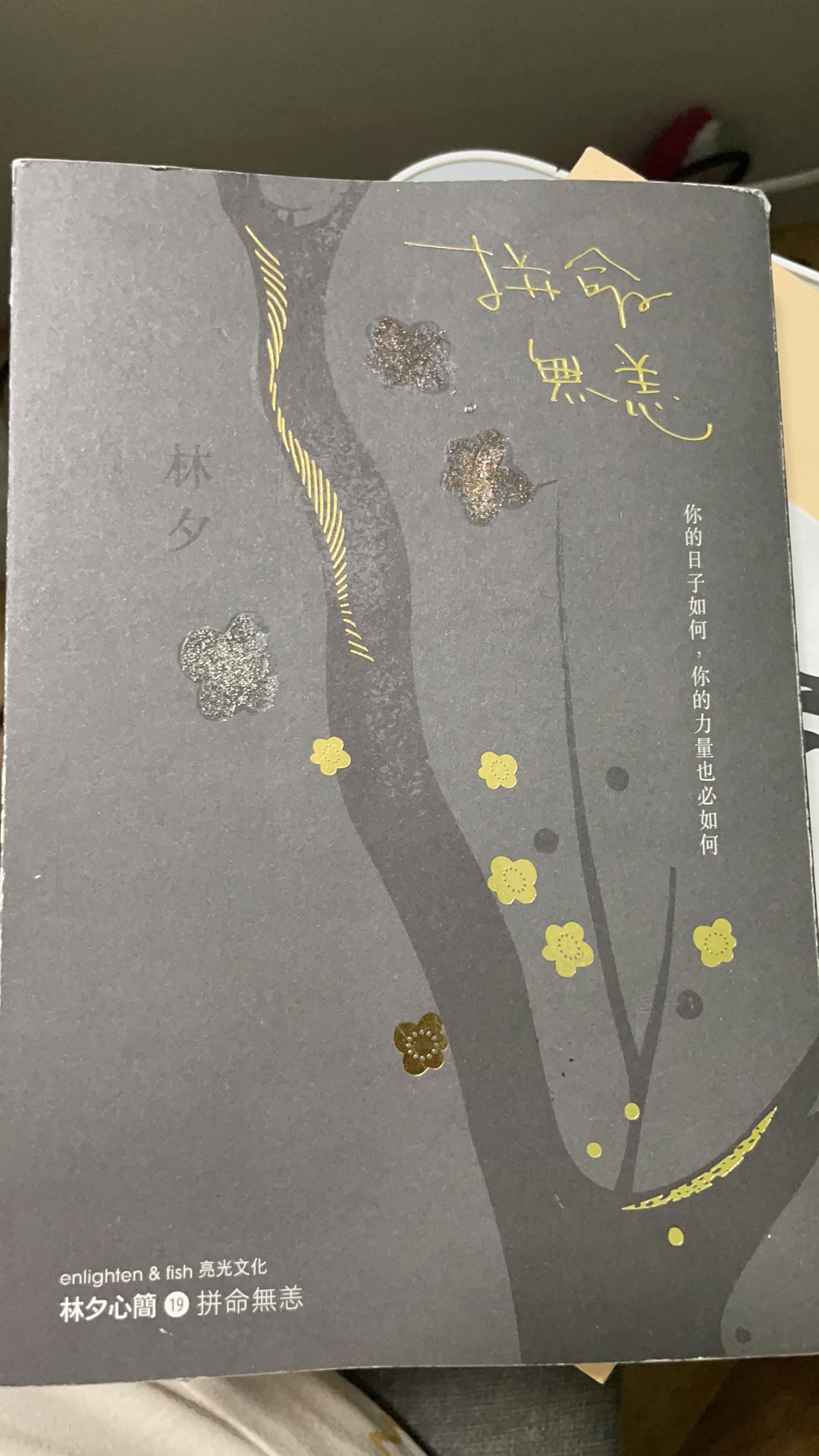拼命无恙