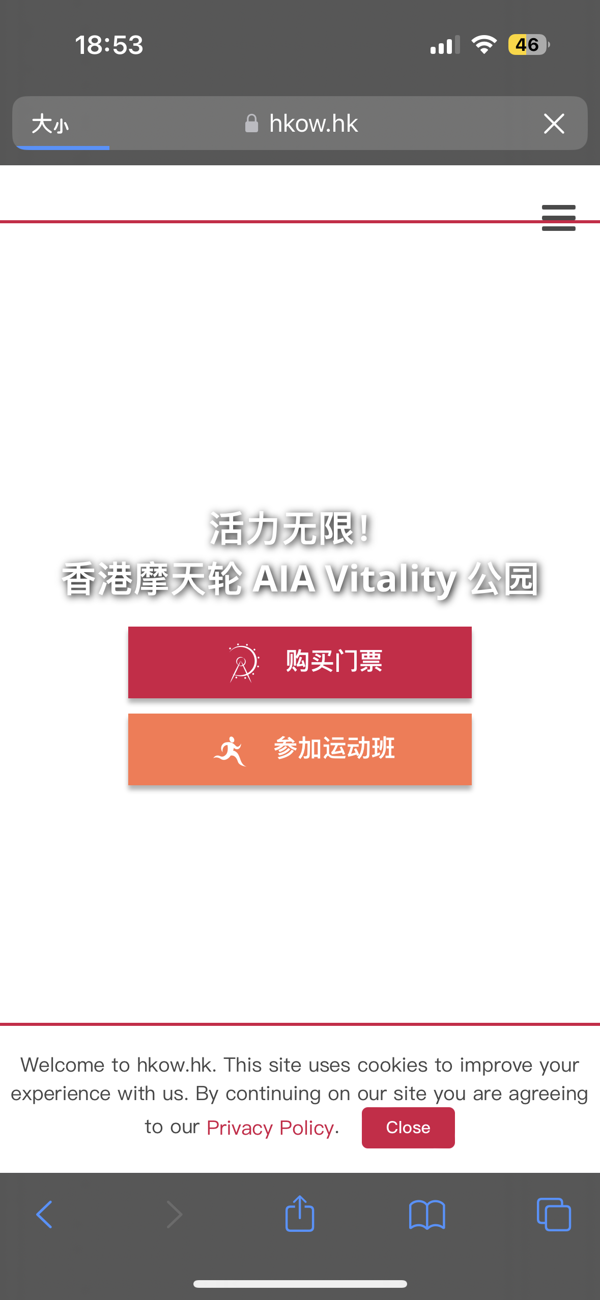 10.2 香港中环摩天轮票2张