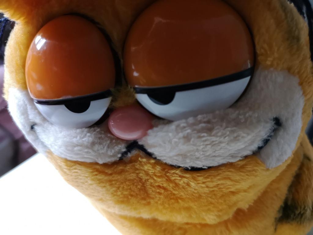 加菲猫Garfield