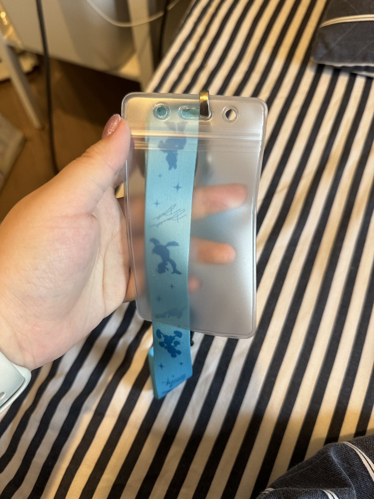 迪士尼年卡卡套