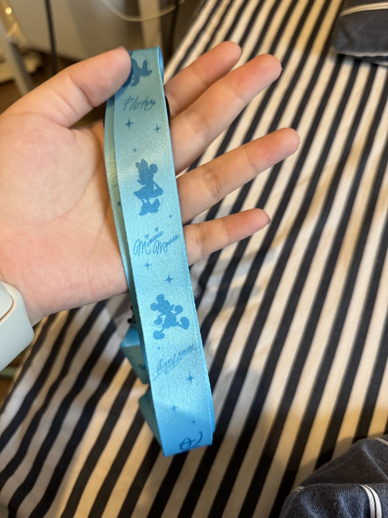 迪士尼年卡卡套