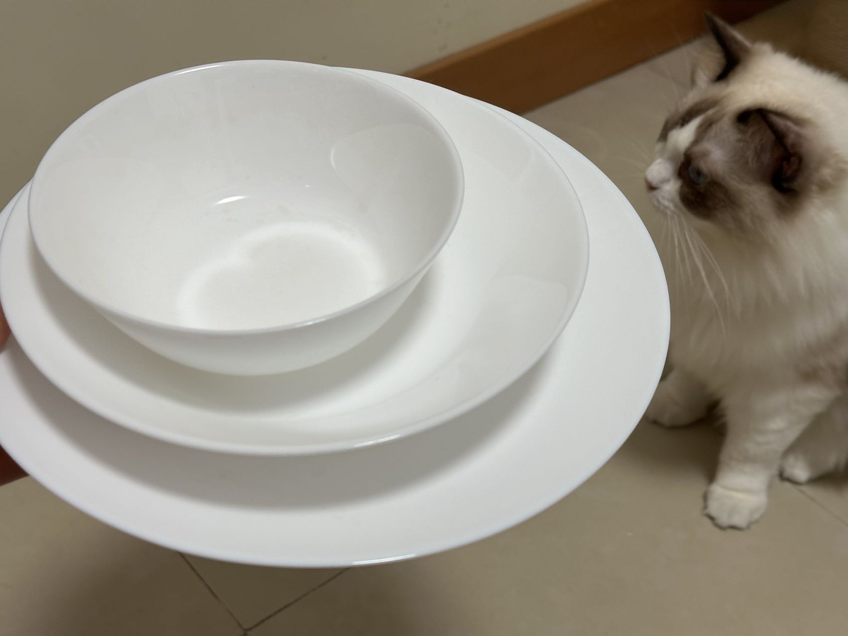 盘子/碗