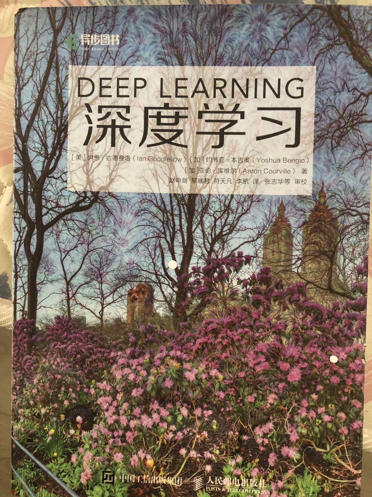 深度学习书