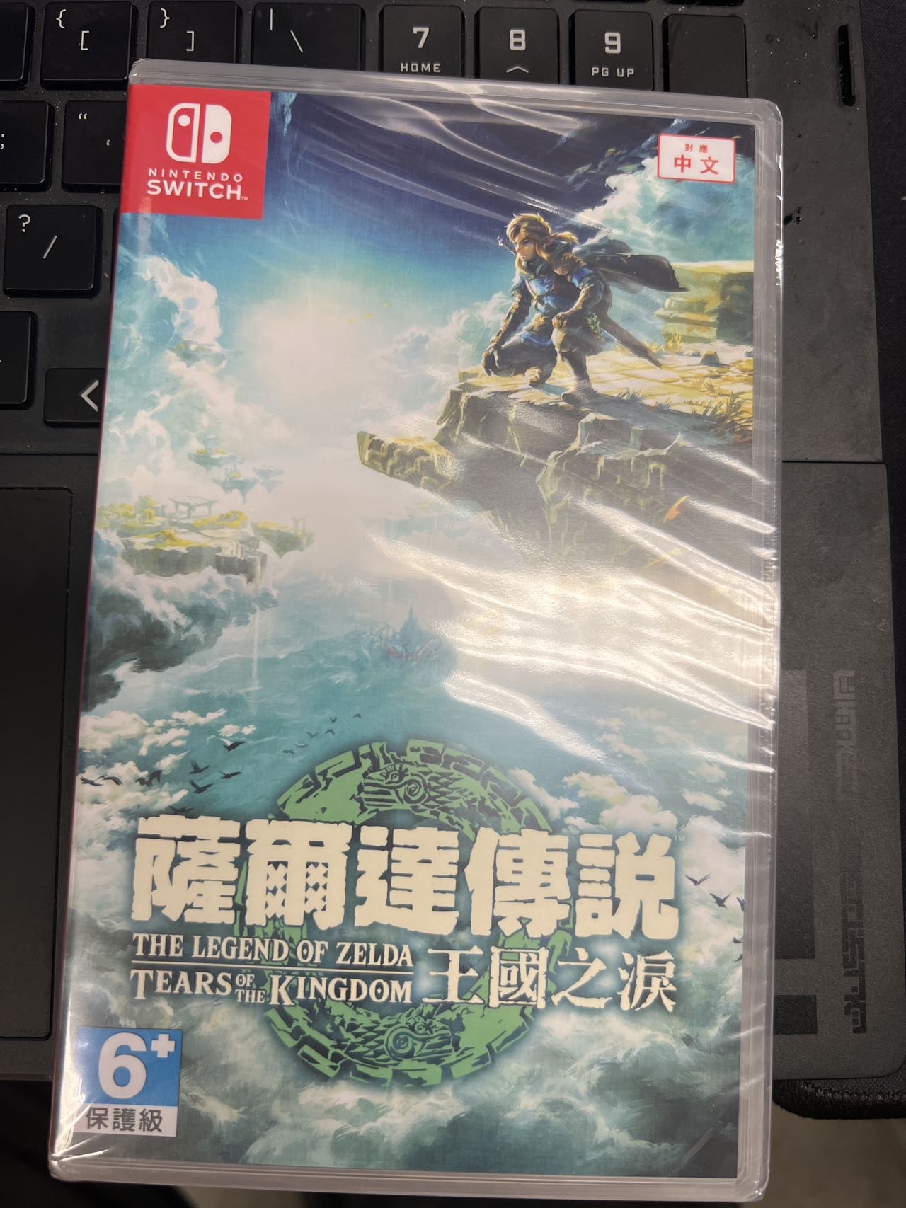 王国之泪