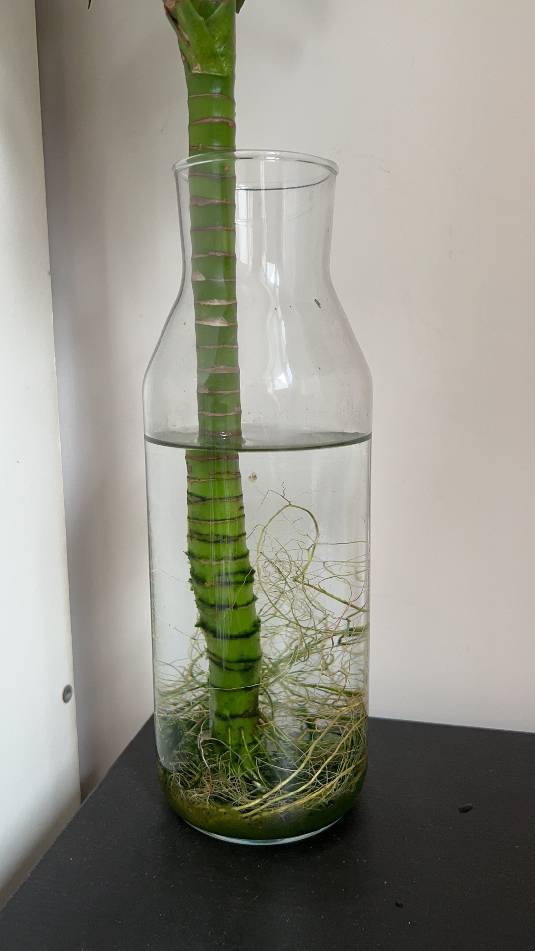 花瓶