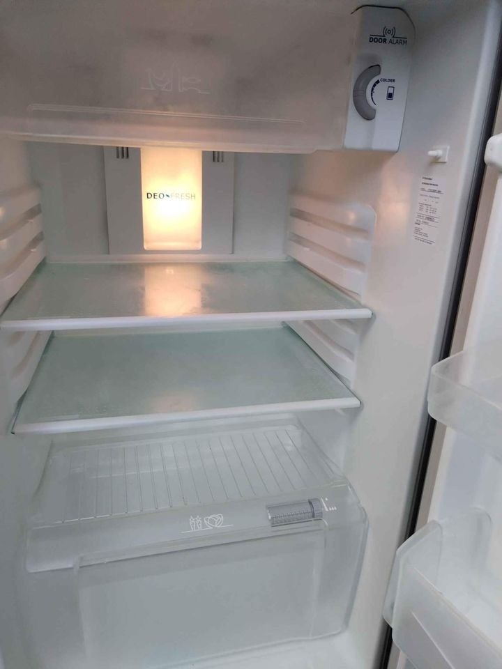 伊萊克斯