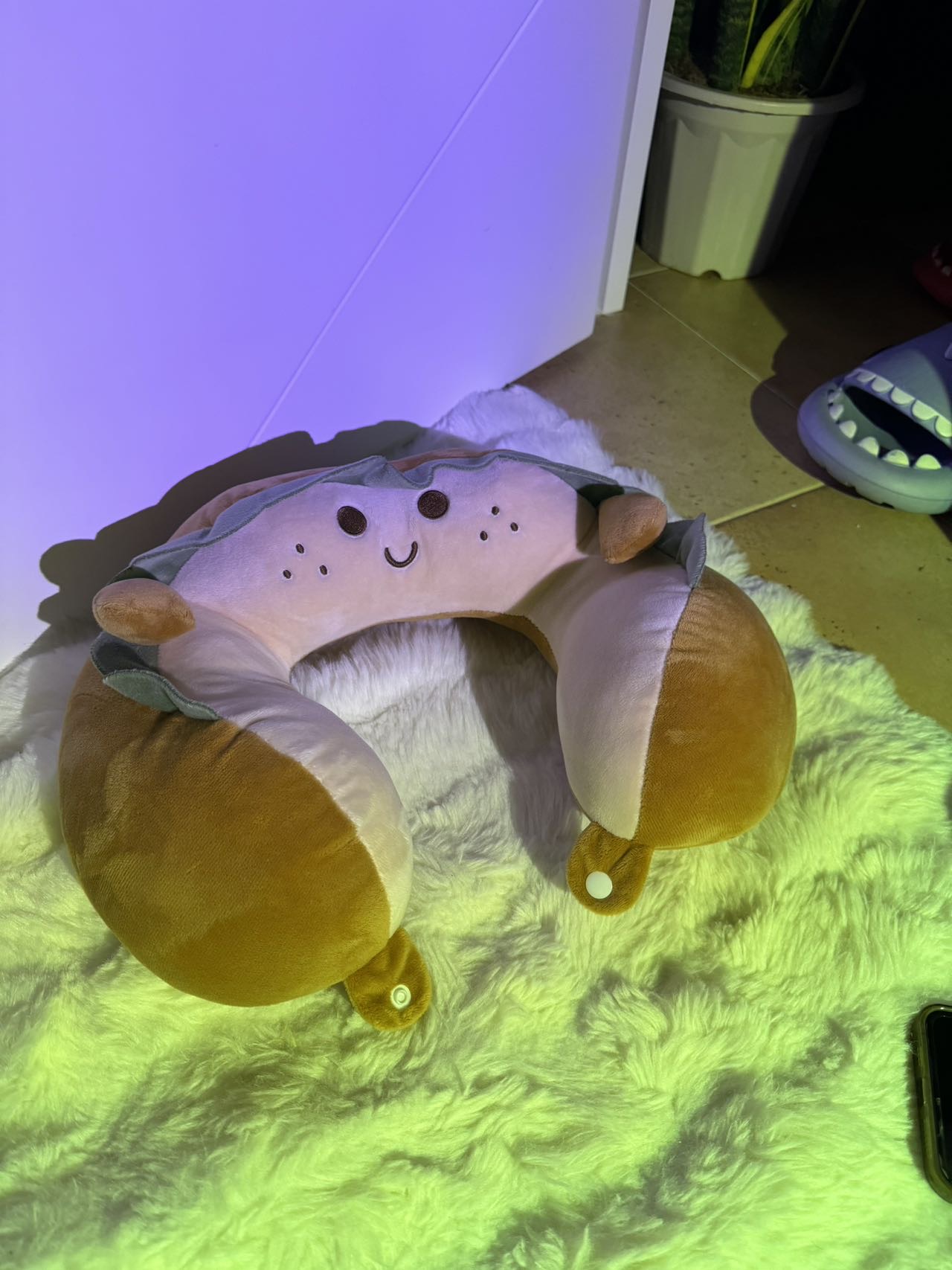 颈枕