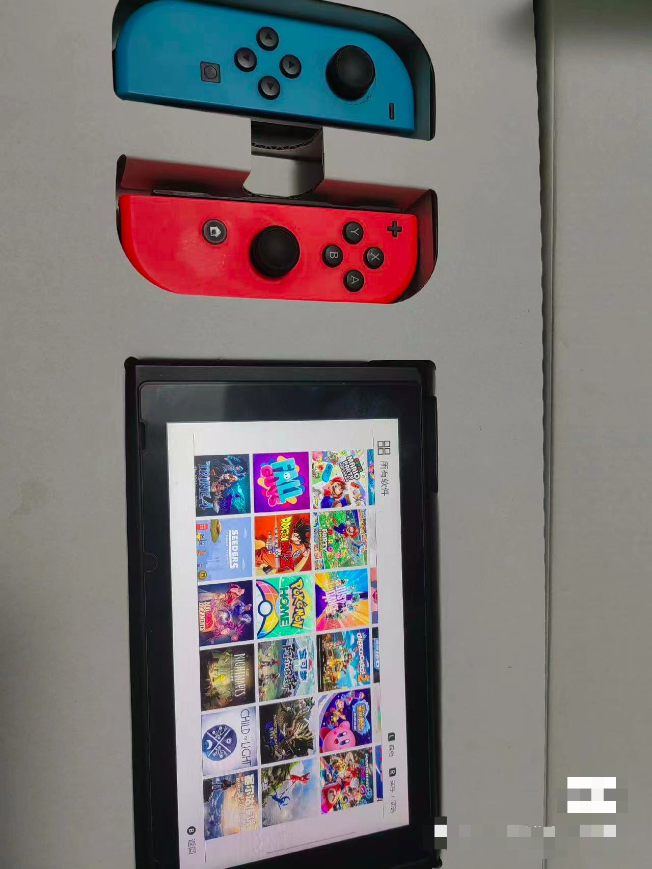 Switch 标准版