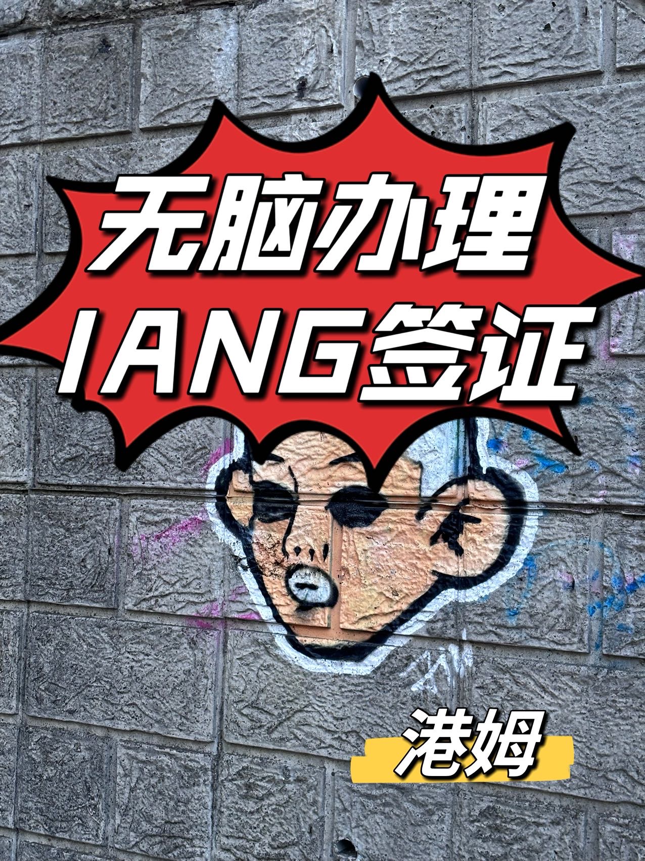 IANG代办