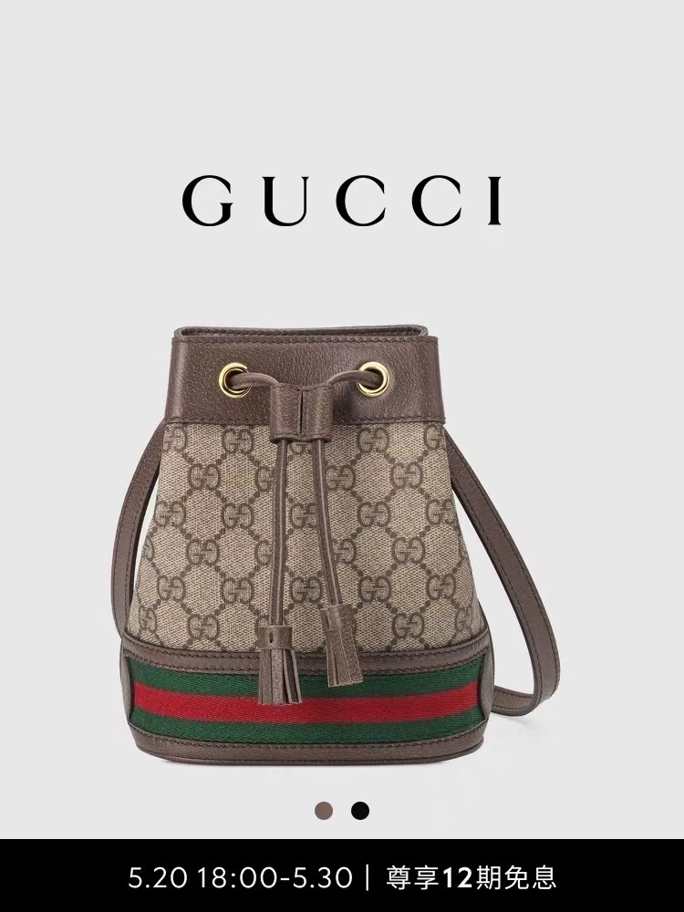 GUCCI正品水桶包超轻容量好