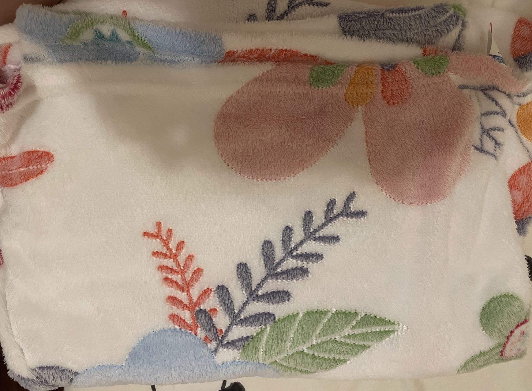珊瑚绒被子