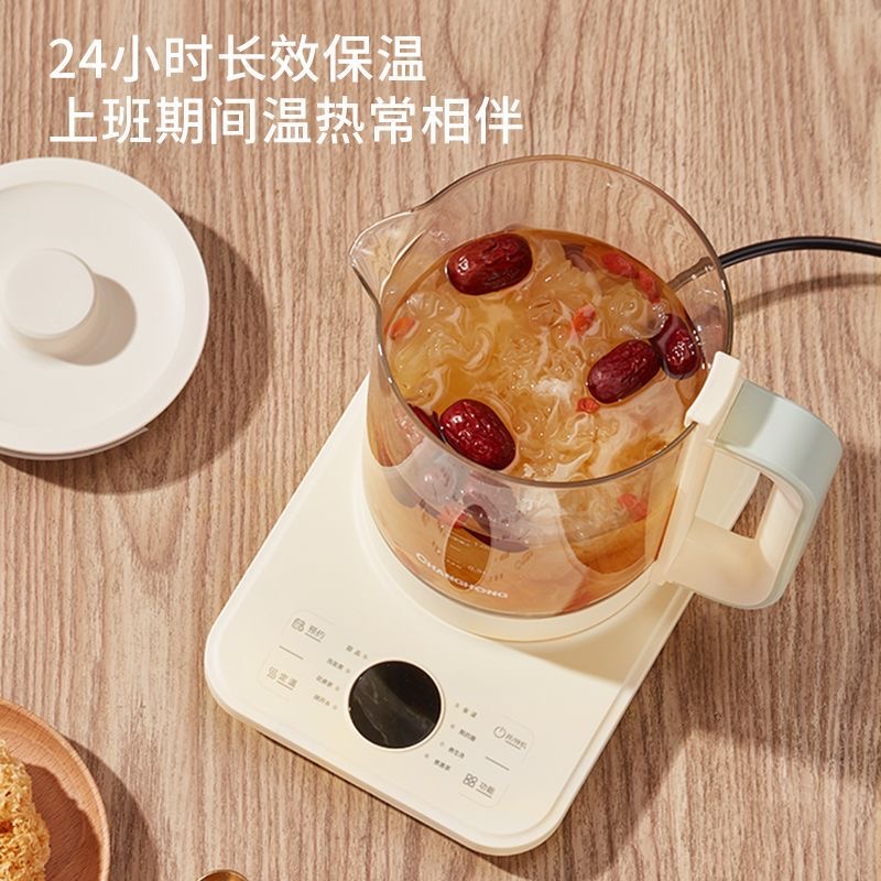 养生壶 烧水壶 恒温加热电热水壶