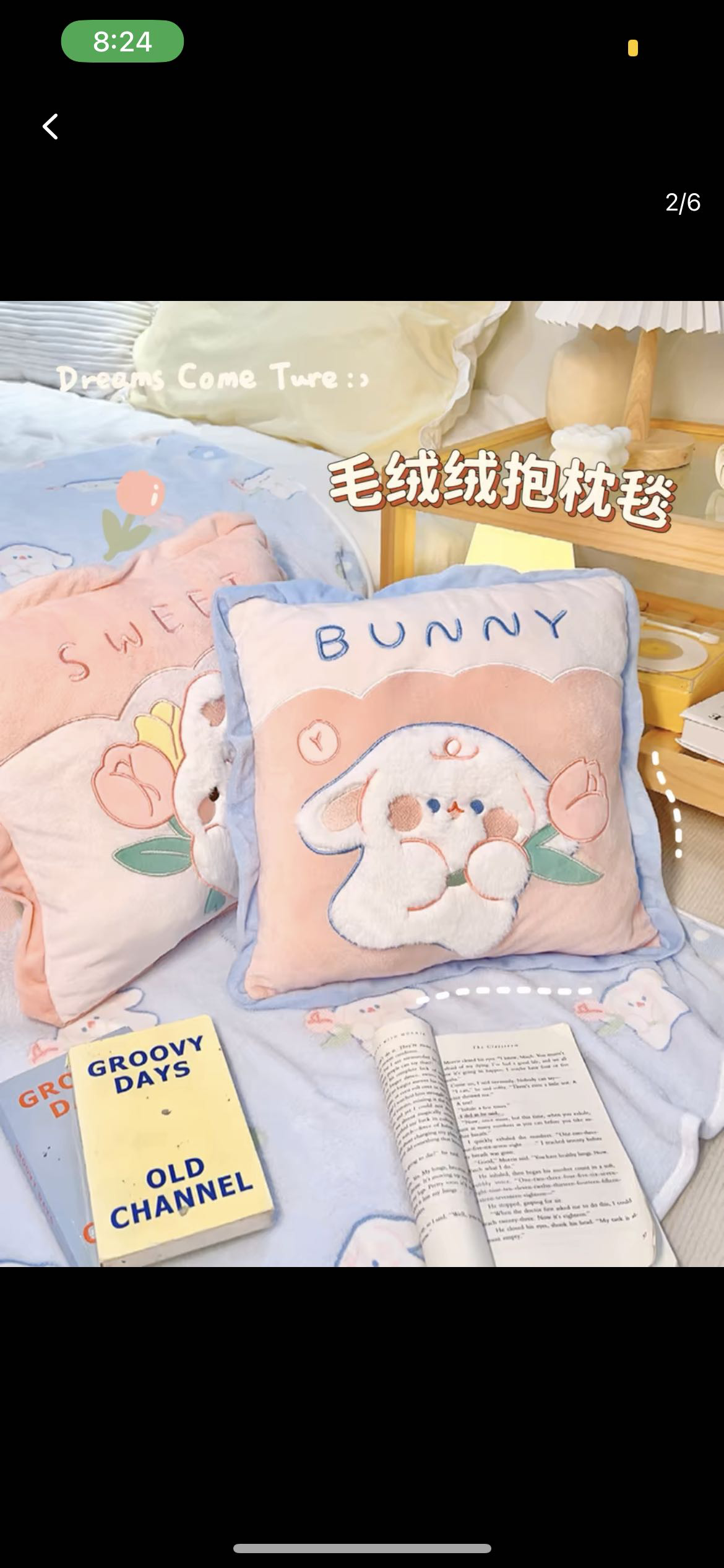 抱枕，里面有毯子