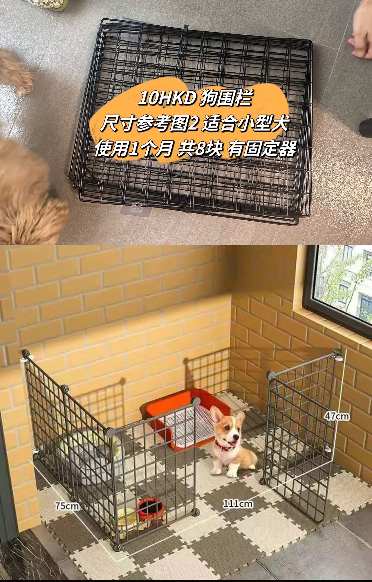 狗围栏