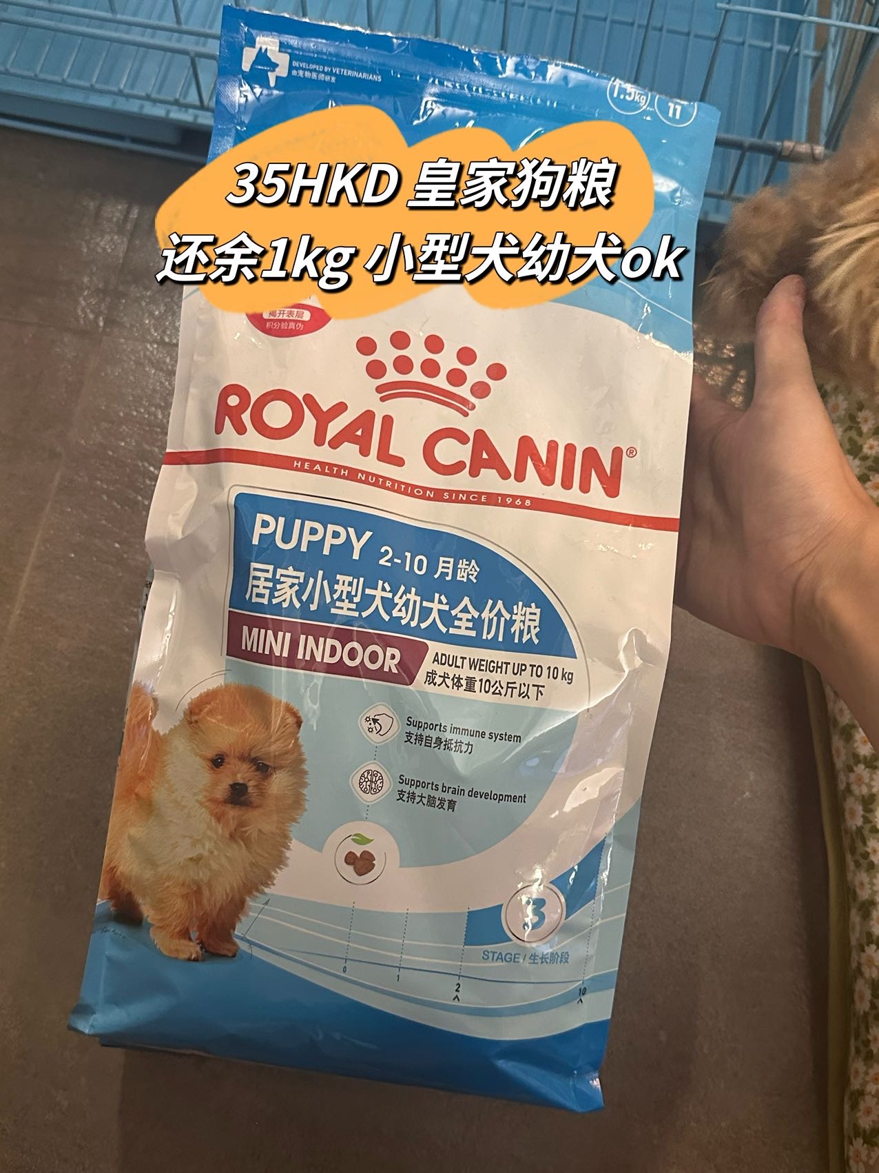 皇家狗粮幼犬小型犬