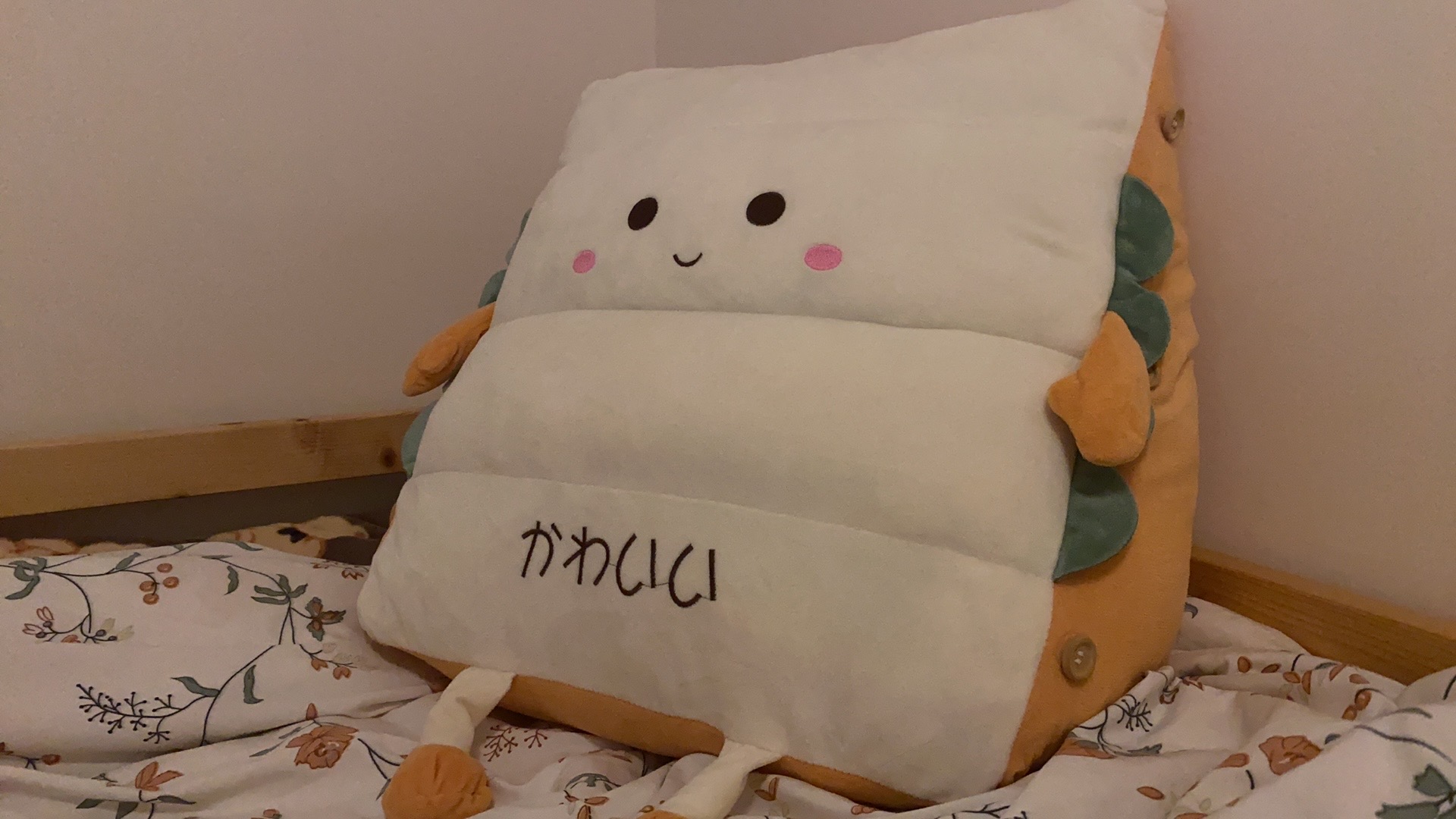 靠枕