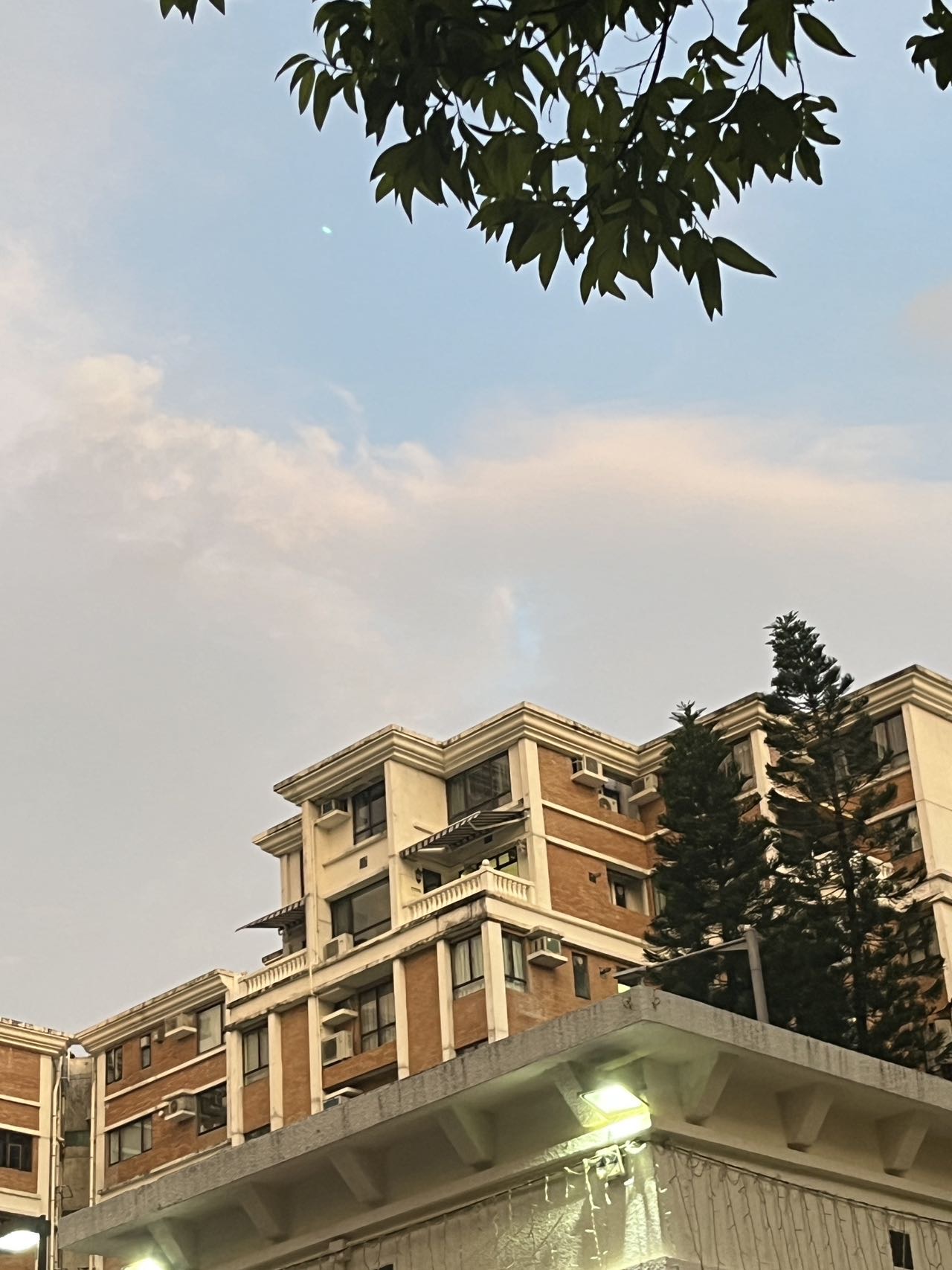 子母被