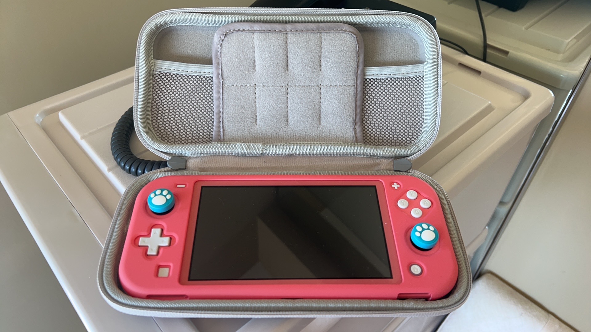 Switch lite