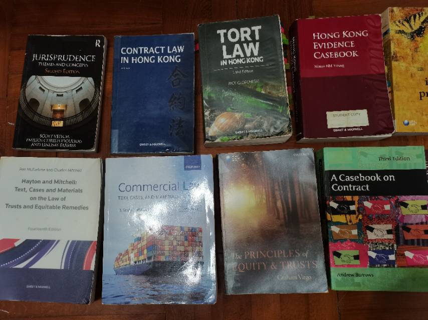 法律 心理学 西班牙语 语言学书