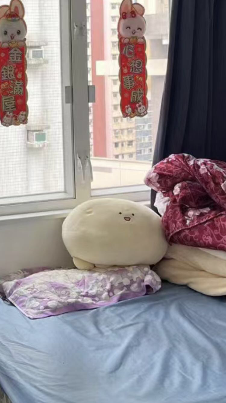 抱枕
