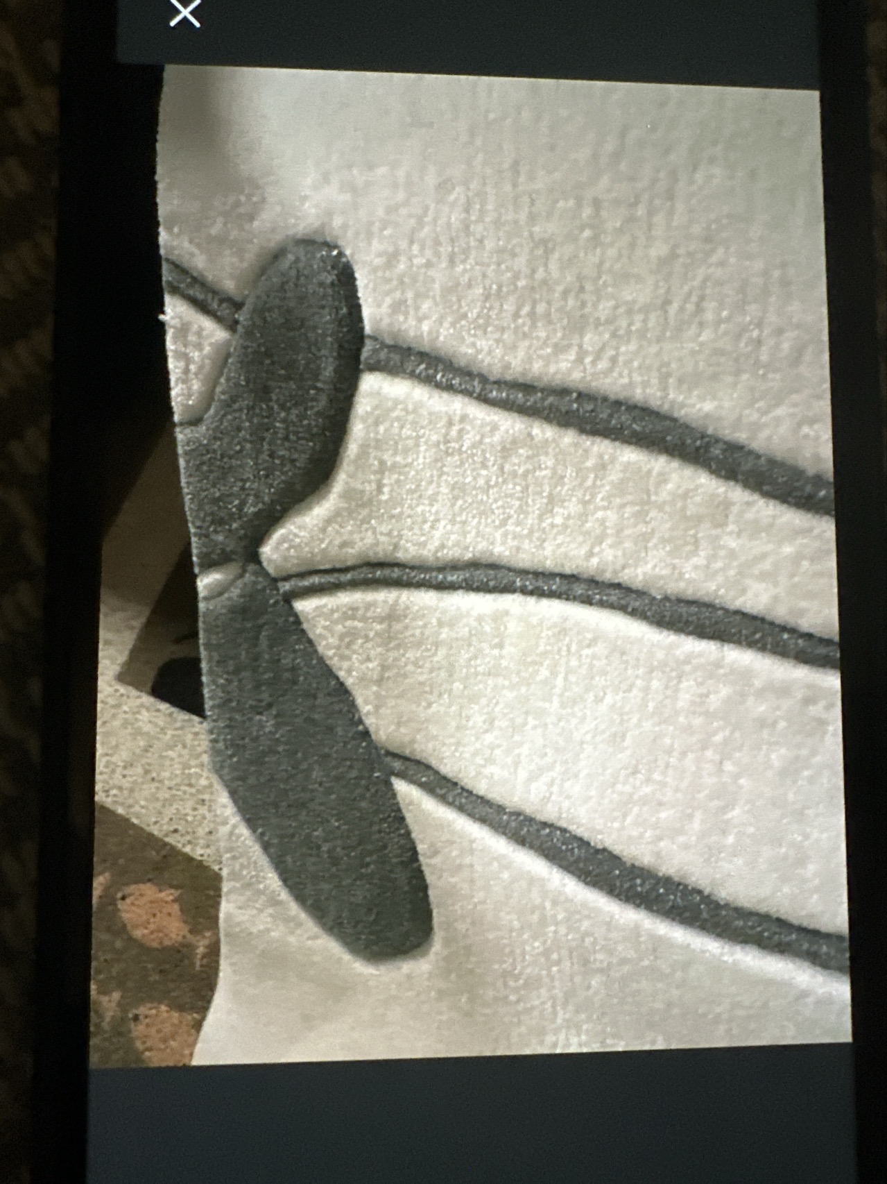 羊毛地毯日本牌子