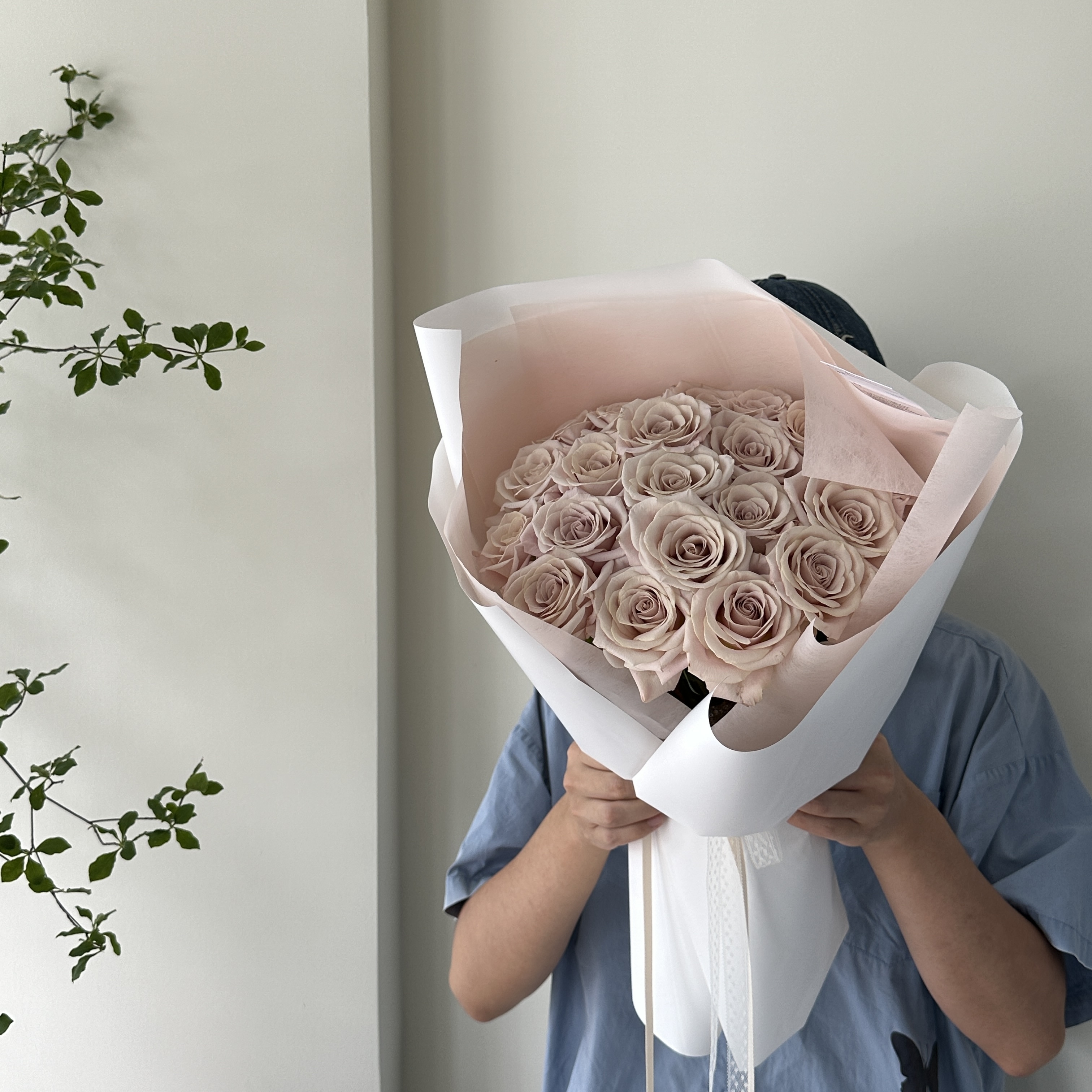 曼塔玫瑰（鲜花）【全港顺丰包邮】