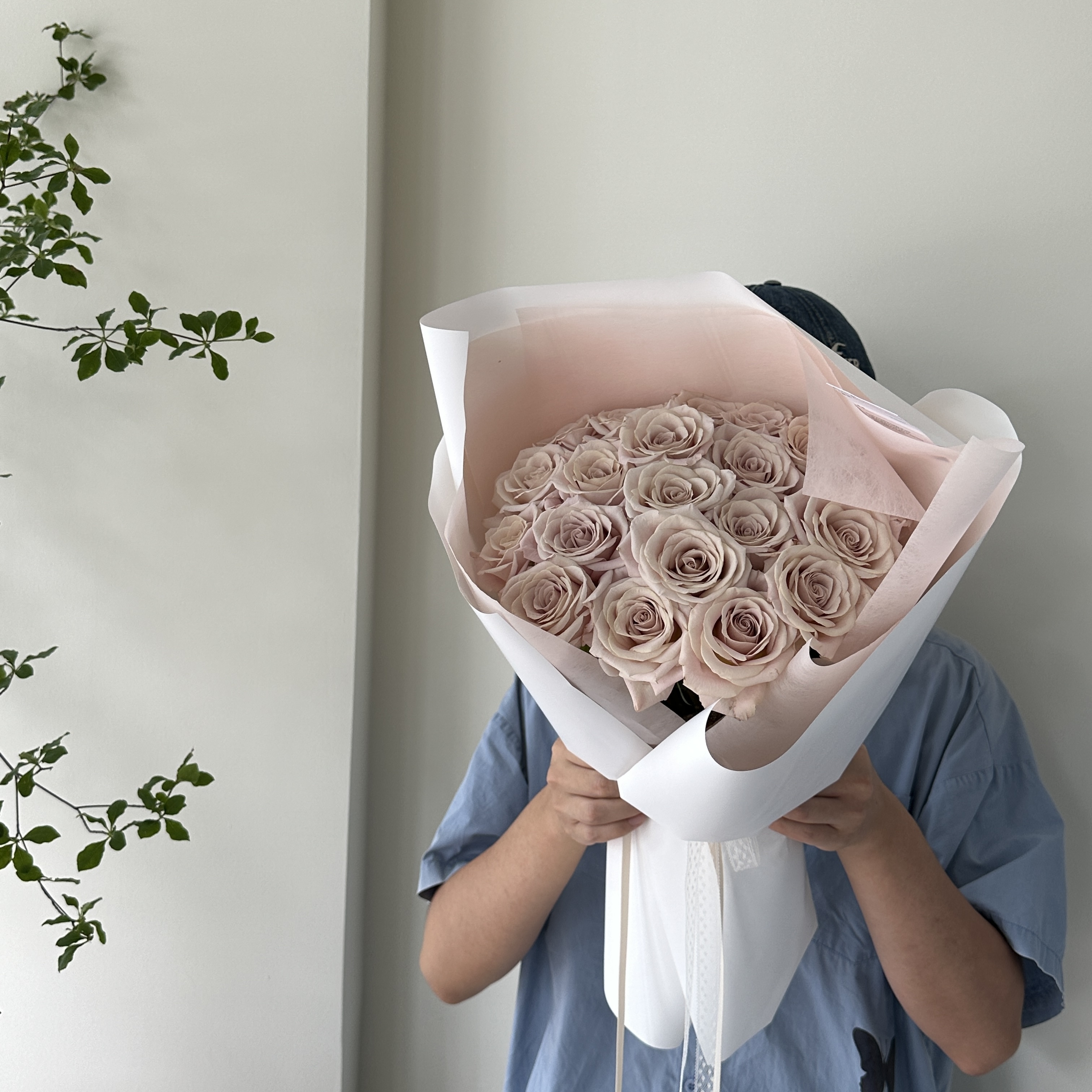 曼塔玫瑰（鲜花）【全港顺丰包邮】