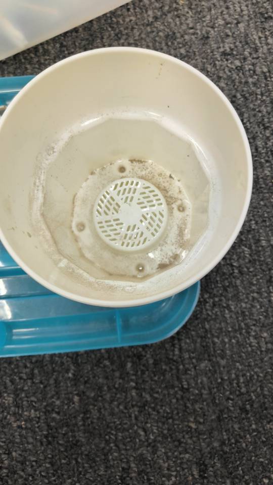 花盆