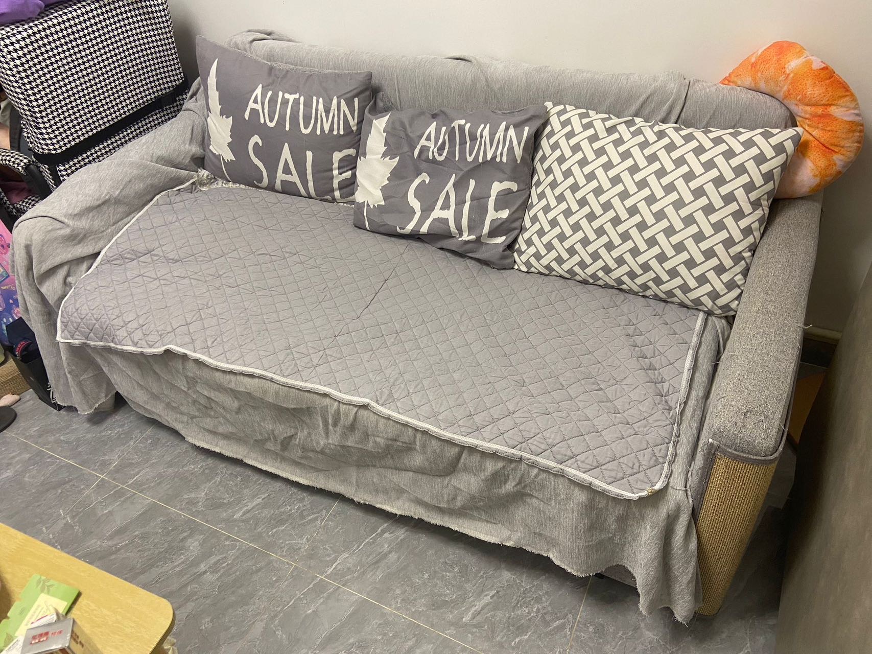 梳化🛋️床