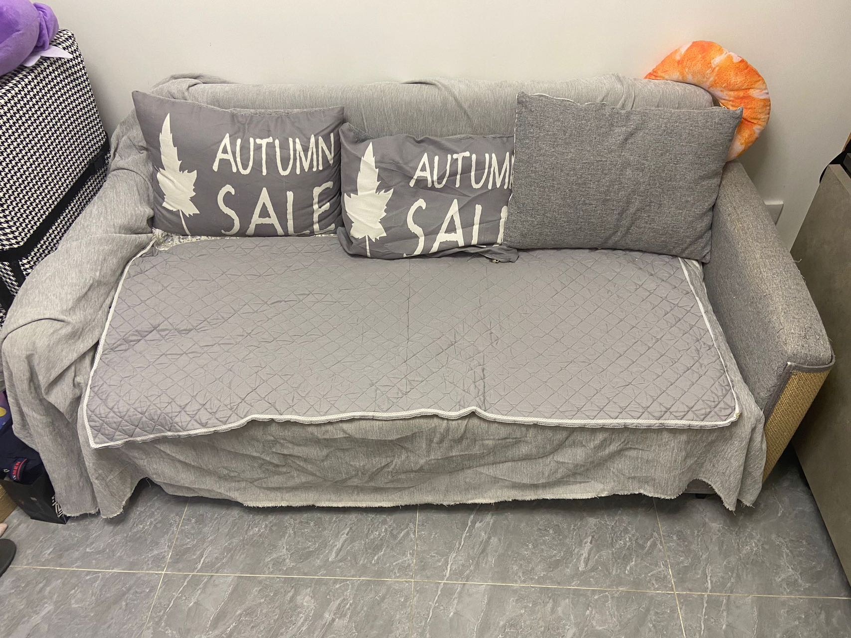梳化🛋️床