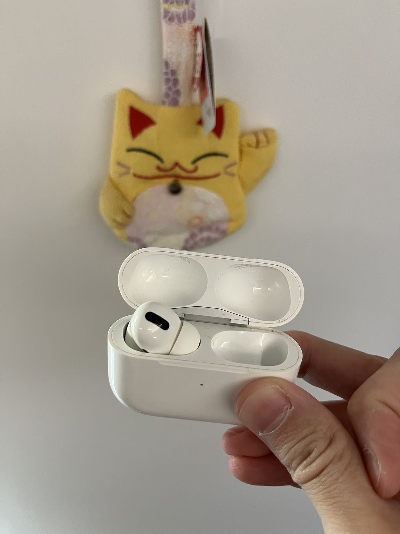 AirPods pro 左耳和耳机盒