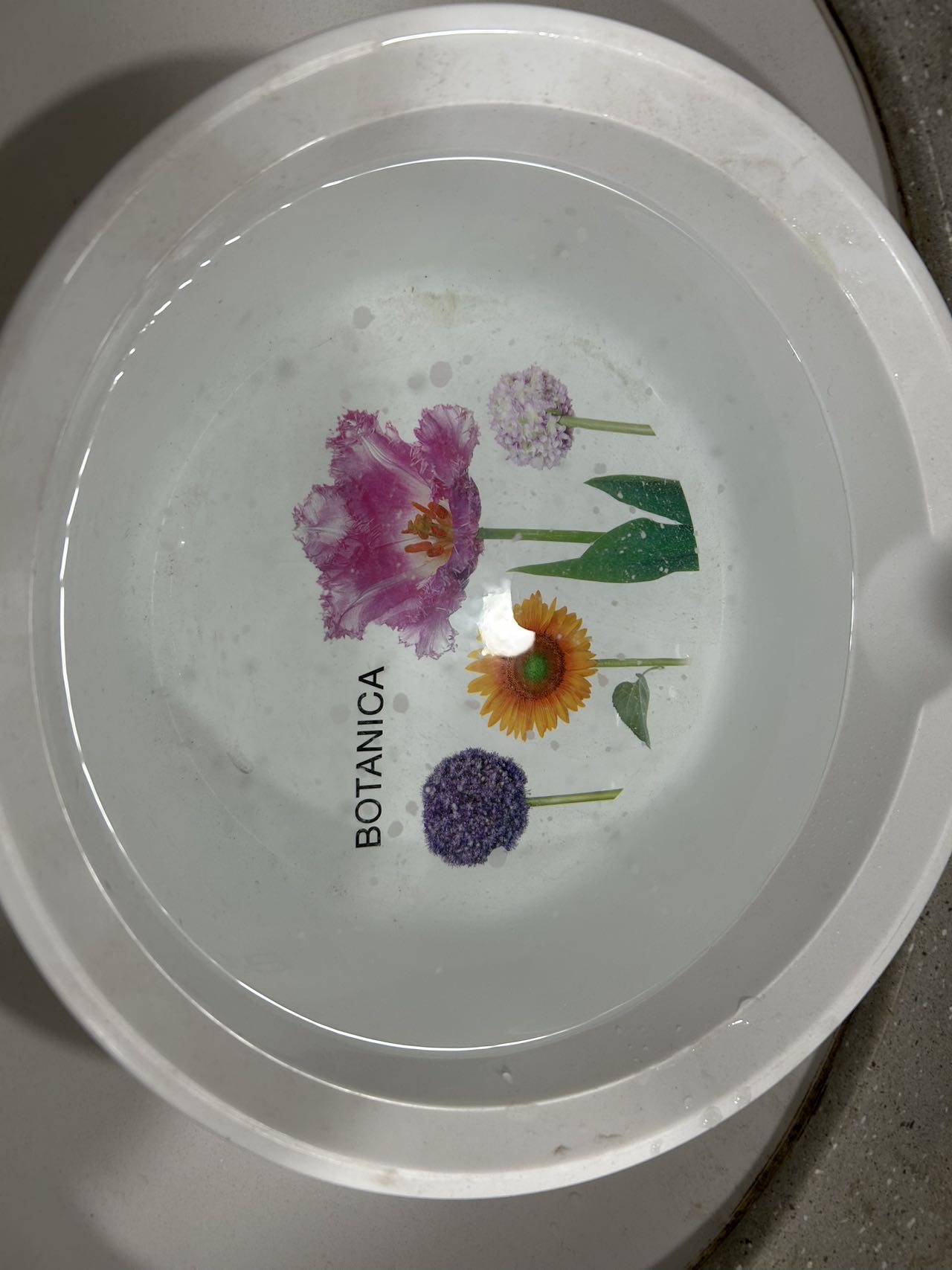 脸盆