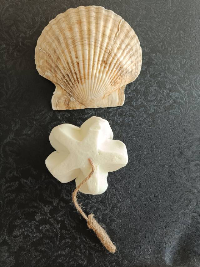 肥皂花送扇貝売