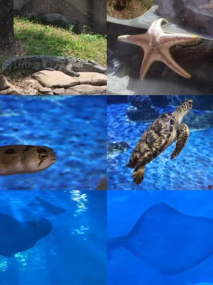 香港海洋公园门票